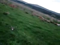 Fisting My Mare 2 Gay Beast Com - Animal Porn Tube
