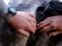 Fisting My Mare 3 Gaybeast Rip - Animal Porn Tube