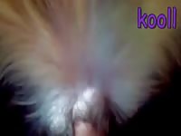 Flashlightpack Gaybeast.Com - Beastiality Sex Video