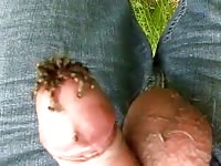 Flies On Dick Cock Gay Beast Com - Animal Porn