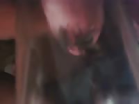 Fly On My Cock Gay Beast Com - Bestiality Sex Video