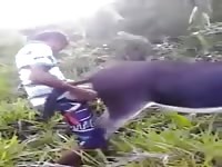 Follando Burra Gay Beast Com - Beastiality Porn Movie