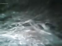 Follao Por Un Perro Pollon Gaybeast.Com - Beastiality Sex Tube