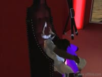 Fox Rabbit Get Yiffy Gaybeast.Com - Animal Sex Video(2)