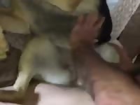 Friends Fuckin The Dog Gay Beast Com - Beastiality XXX Sex Tube