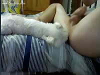 From Cam4 Gaybeast Rip - Animal Sex Tube