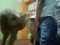 Fuck Carlitos Gaybeast - Beastiality Sex Video