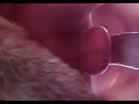 Fuck Knot And Creampie Gay Beast Com - Beastiality Sex Tube