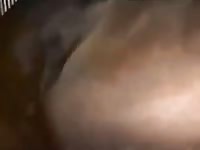 Fuck Mare 9 Gaybeast - Beastiality Porn Movie