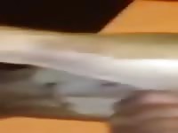 Fuck Perra Gay Beast Com - Beastiality Sex Video