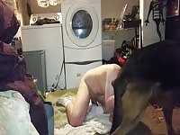 Fucked Silly Gay Beast Com - Animal Sex Tube