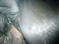 Fucking A Juicy Mare Gaybeast.Com - Animal Sex Video