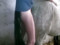Fucking A Mare 5 Gaybeast - Zoo Xxx Sex