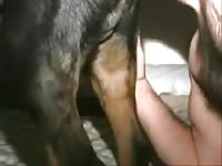 Fucking Dog Ass Gaybeast.Com - Bestiality Porn