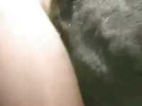 Fucking Goat Gaybeast.Com - Beastiality Sex