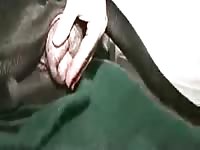Fucking My Girl Bareback On Bed Gaybeast.Com - Animal Porn