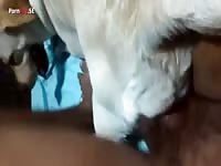 Fucking My Woman2