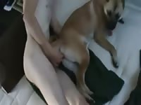 Fucking My Dogs Pussy Gaybeast - Beastiality Porn Movie