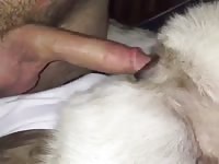 Fucking My Gsd Gaybeast Rip - Zoo Xxx Porn