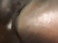 Fucking My Horse Good Gaybeast Rip - Animal Porn Tube