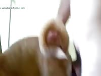 Fucking On The Chair Gaybeast.Com - Animal Porn