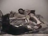 Fucking Taz Gaybeast.Com - Beastiality Porn Movie