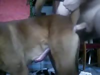 Fucking The Boy Gaybeast.Com - Bestiality Sex Movie