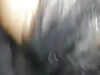 Fucking The Mare Gaybeast Rip - Beastiality Sex Movie