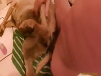 Fucking The Yellow Lust Gaybeast Rip - Bestiality Sex Movie