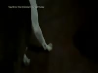 Fun 2 Gaybeast.Com - Beastiality Porn