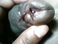 Fun With Earthwarms Gaybeast - Bestiality Porn Tube