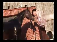 Fun With Two Horse Gaybeast Rip - Animal Sex