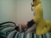 Furry Fun 2 1 Gaybeast Rip - Zoo Xxx Sex Movie
