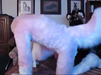 Furry Fun 3 2 Gaybeast - Bestiality Porn Tube
