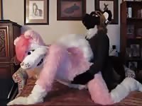 Furry Fun Yiff Yiff 1 Gaybeast Rip - Bestiality Porn Tube