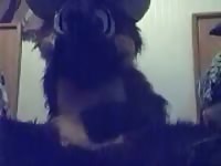 Fursuit Yiff Gay Beast Com - Beastiality Sex Movie