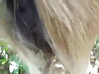 Gay 1 Gaybeast.Com - Zoo Xxx Sex Tube