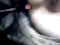 Gay 5 Gaybeast - Bestiality Sex Movie