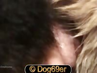 Gay Dogs 1 Gaybeast - Zoo Xxx Porn Movie