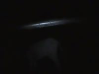 Gay Fuck Gaybeast.Com - Animal Porn Tube