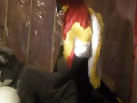 Gay Fursuit Sex Gaybeast - Animal Porn