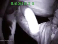 Gay Horse Suck Fuck Man Gaybeast Rip - Animal Porn Video