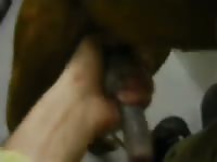Gay Kennel Dog 3 Gay Beast Com - Bestiality Porn Video
