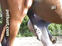 Gay Zoo Petlust Men Horse