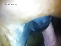 Gaybeast Rip 1108 And Cum - Animal Porn Tube