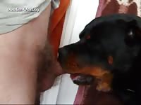 Gaybeast.Com 1324 3 - Beastiality Sex Tube
