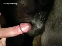 Gaybeast.Com 2107 - Bestiality Porn