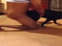 Gaybeast.Com 2627 With 1313 - Beastiality Sex Porn