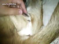 Gaybeast.Com 3308ming Up - Beastiality Porn Movie