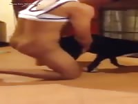 Gaybeast Rip 4some - Beastiality Porn